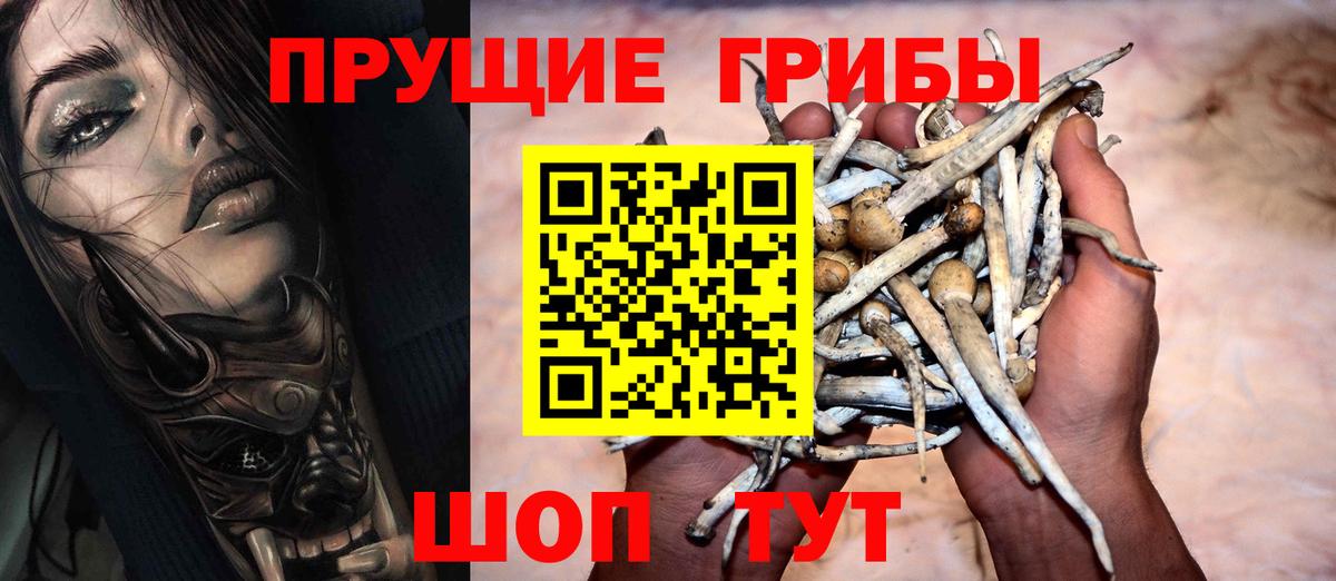 Галлюциногенные грибы мухоморы  Псилоцибиновые грибы мицелий  Светлоград  Вход с VPN 