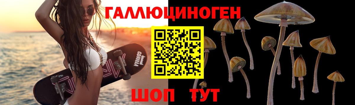 Псилоцибиновые грибы ЛСД Светлоград