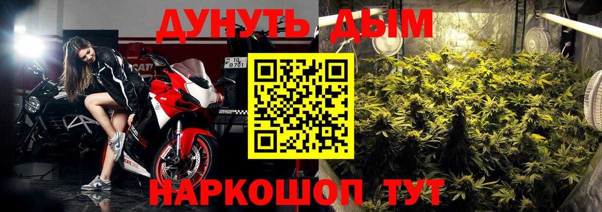 Бошки Шишки план  Марихуана SATIVA & INDICA  Светлоград  Вход с VPN  Шишки марихуана VHQ 